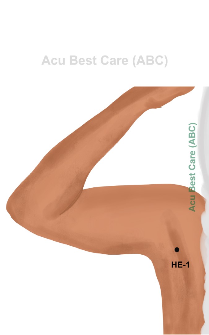 Acubestcare Meridian H-01 or HE-01